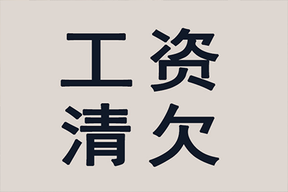 法定代表人及股东个人借款的偿还责任问题